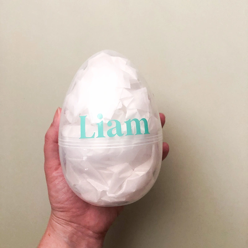 Product photo of personalised Jumbo Easter Egg with name in mint green